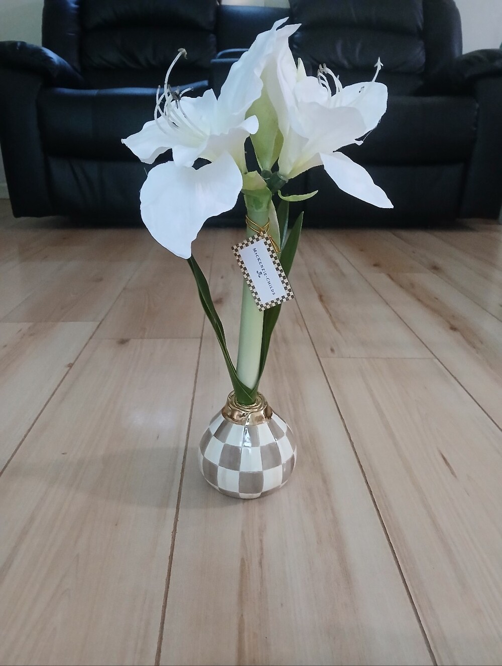 NWT MacKenzie-Childs Mocha Check Armaryllis Bulb Arrangement New This Season
